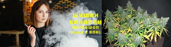 молекула духа Мегион