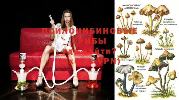 кокаин Медногорск