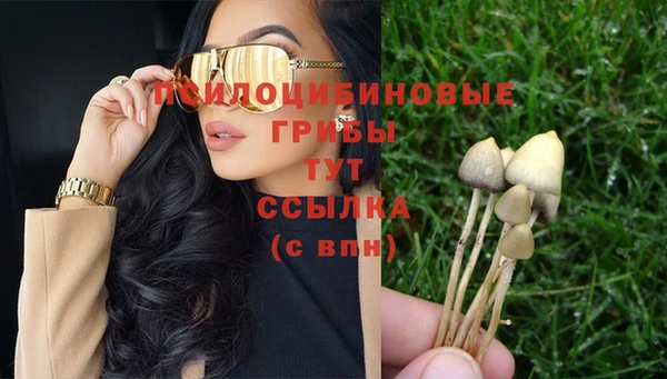 молекула духа Мегион