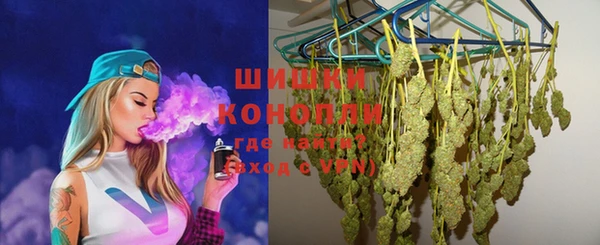 молекула духа Мегион