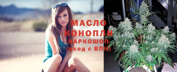 молекула духа Мегион