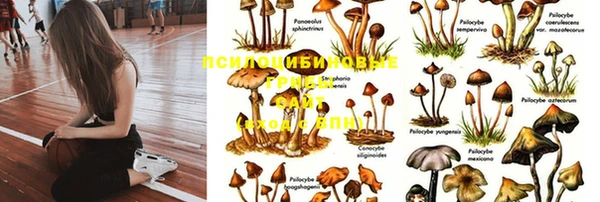 дмт Медвежьегорск