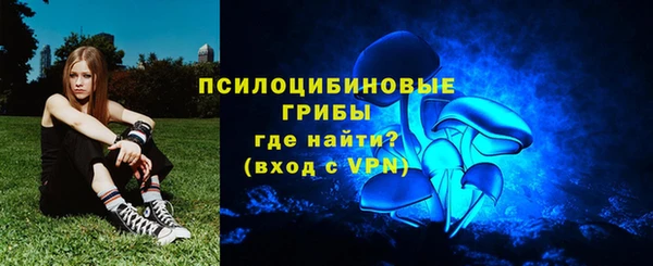 дмт Медвежьегорск
